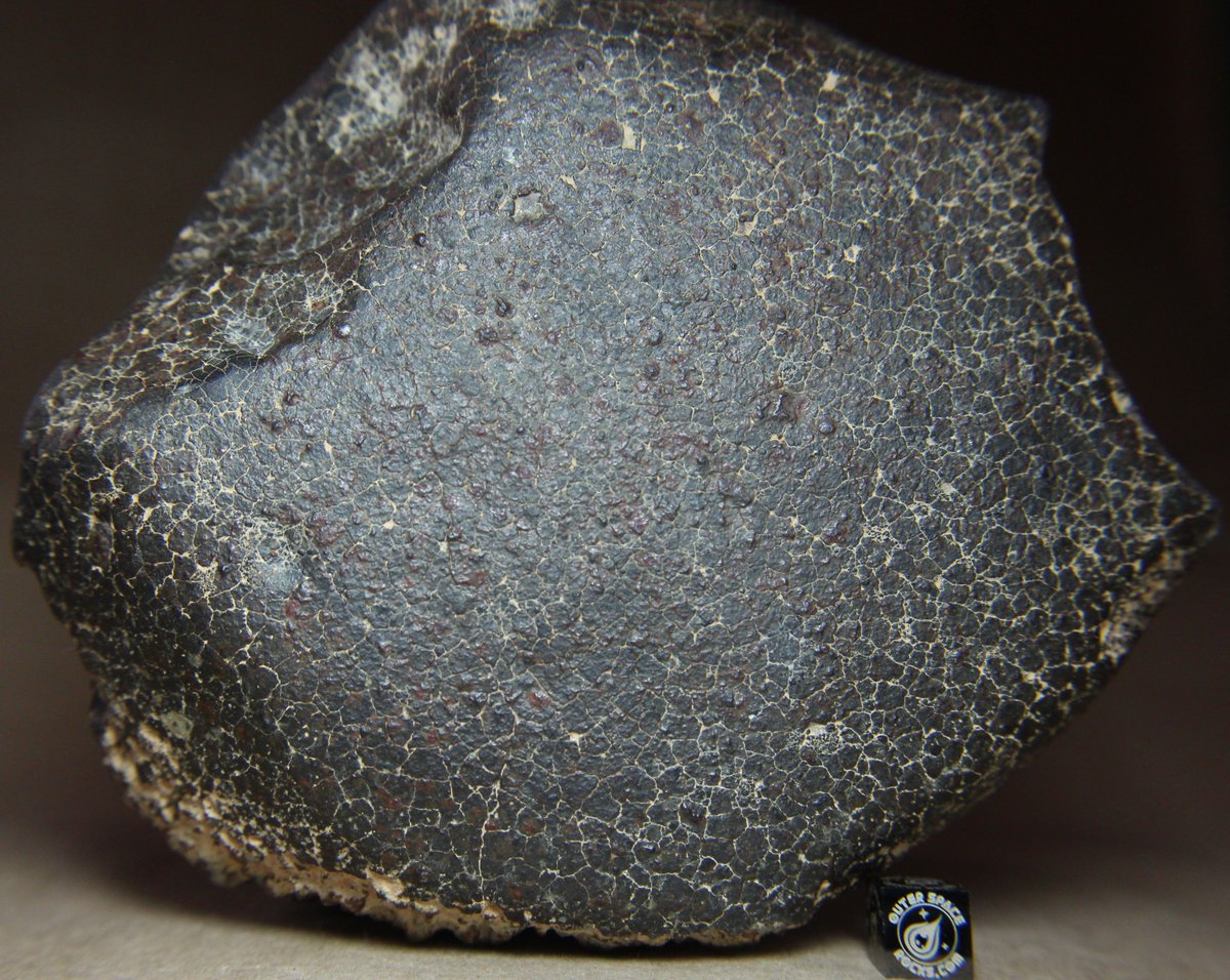OuterSpaceRocks's tweet photo. Fresh Meteorite from North West Africa with beautiful fusion crust #Meteorite #NWAmeteorite #outerspacerocks #meteorites #fusioncrust https://t.co/mdhoiQ6t2l
