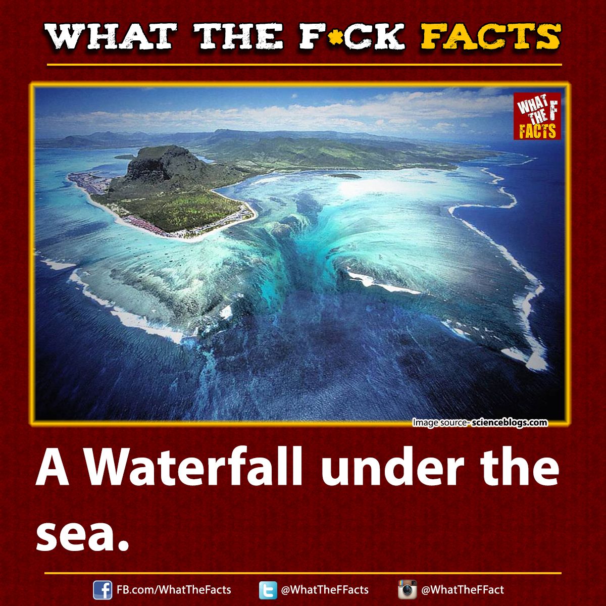 WhatTheFFacts's tweet image. 