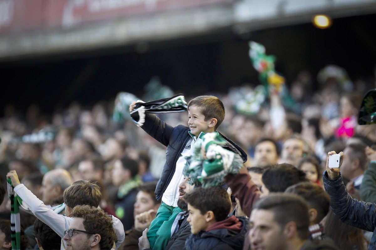 Real Betis Balompié 🌴💚 tweet media