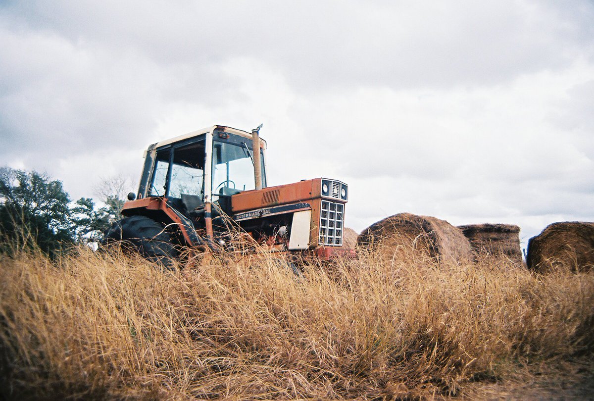 PromiseMeSilver's tweet image. I took pictures of old stuff with my film camera