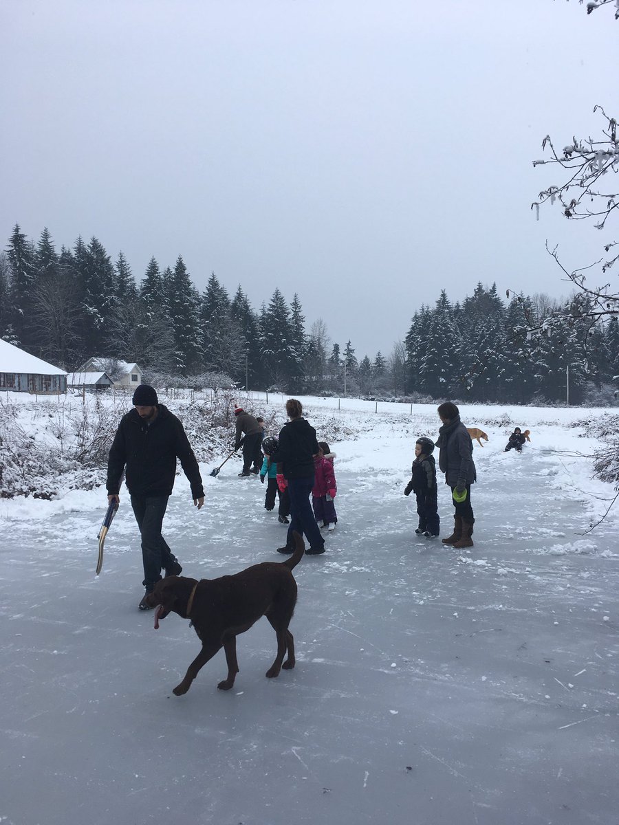 CLH_57's tweet photo. Not something the folks in #BC get to do very often #PondHockey #greatskate #familytime #bcfreeze #bigkids https://t.co/8sJr7Fq84P