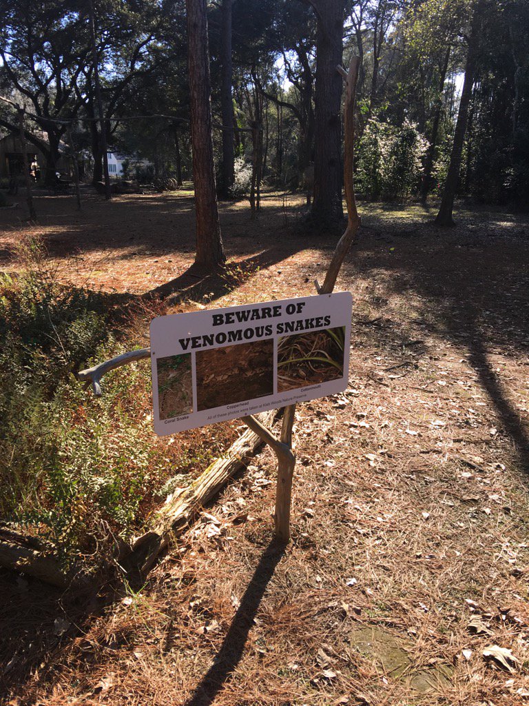 Colonelcairn's tweet image. #evervigalent #ZSHQ