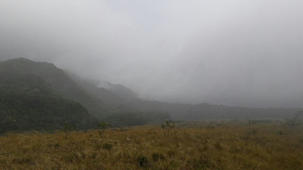 Ministerio de Ambiente de Panamá tweet media