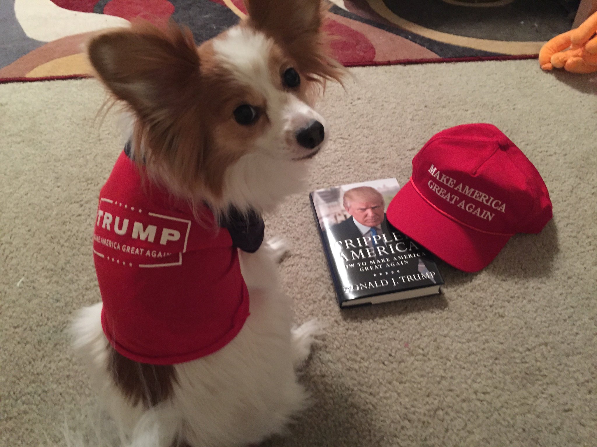 Make America Great Again Dog T Shirts Tank Tops Zazzle