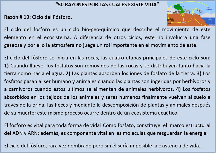 ikerhuitzi's tweet photo. "50 RAZONES POR LAS CUALES EXISTE VIDA" - Razón # 19: Ciclo del Fósforo. https://t.co/eBlRNZiWIs