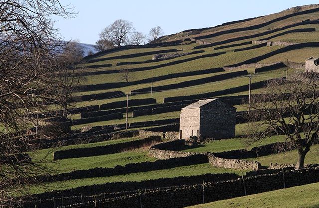 keldcentre's tweet photo. Barns and drystone walls of Swaledale, North Yorkshire ##swaledale #yorkshiredales #yorkshiredalesnationalpark 📷: @gav1nengel https://t.co/0dEbXMNJX6