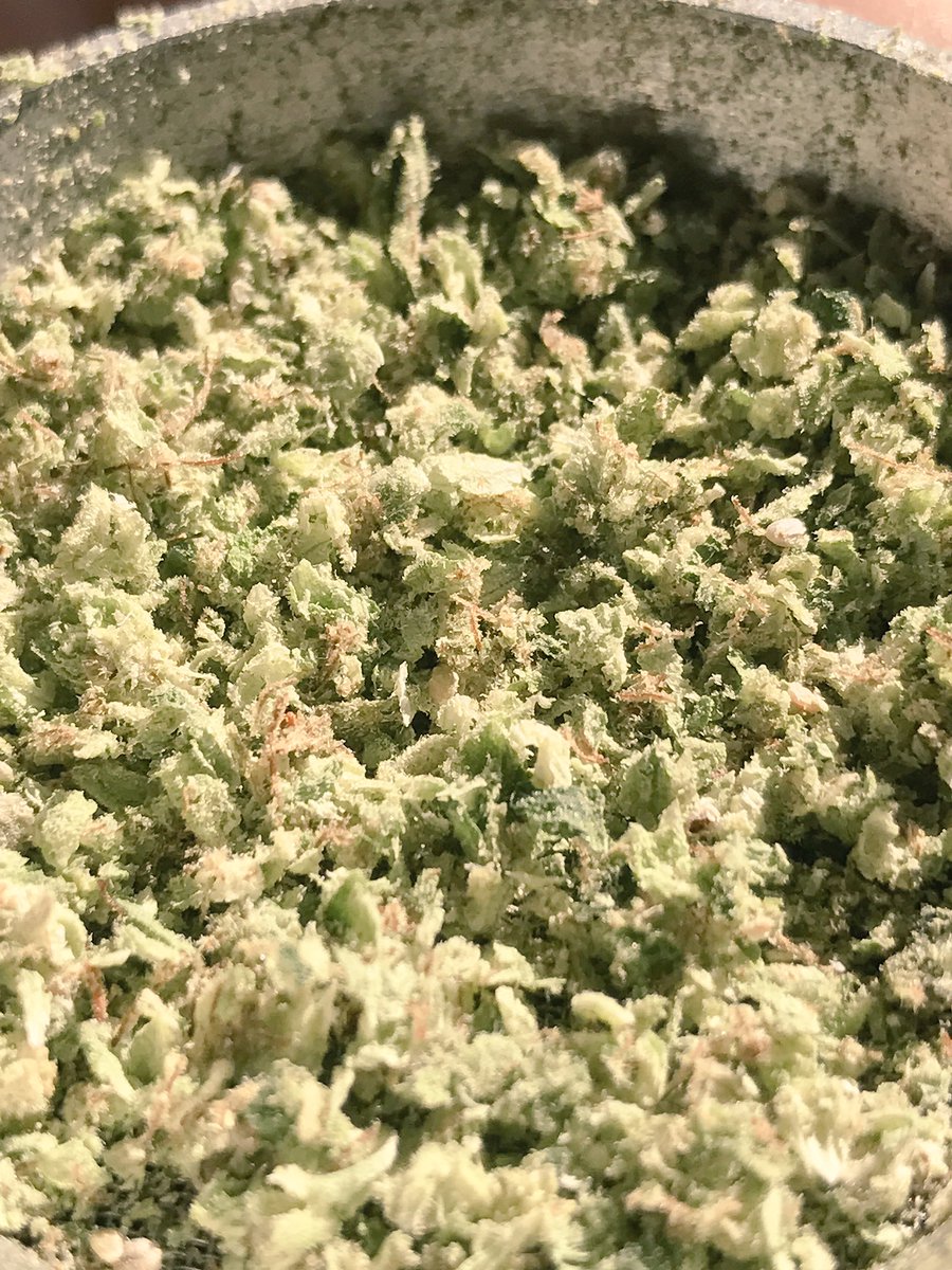 BraxtonKeele's tweet image. 🕷🍪 #WhiteCookies