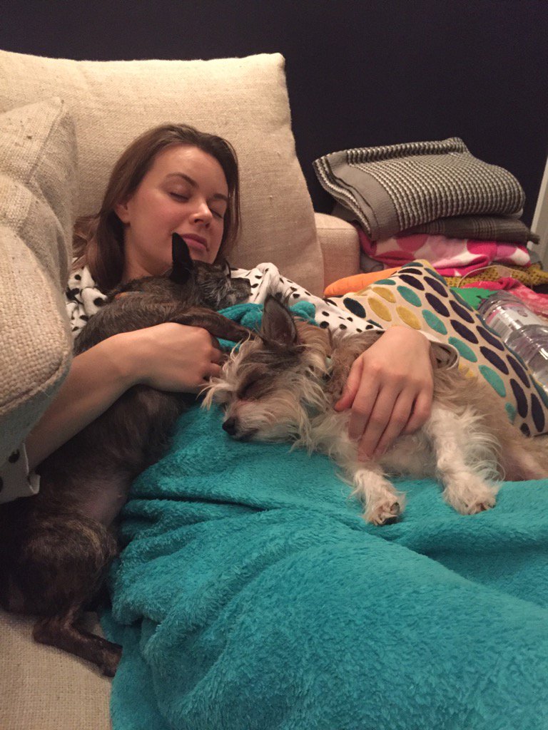 Rattyroo123's tweet photo. @faithclark85 and the furry kids having a nap https://t.co/ZzvMRq8n8x