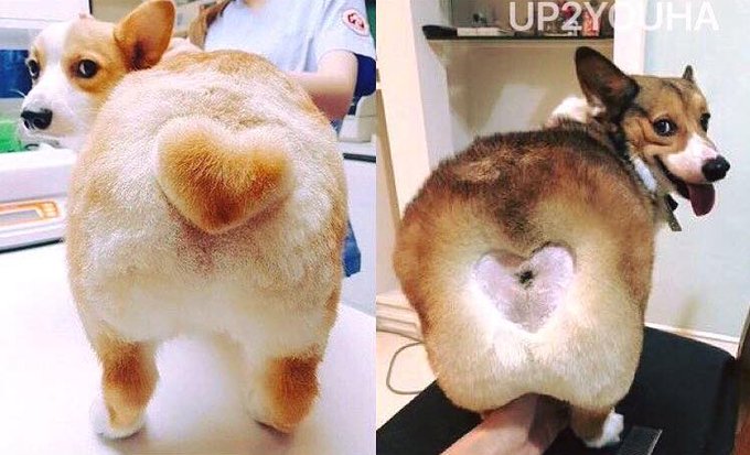 View image on Twitter