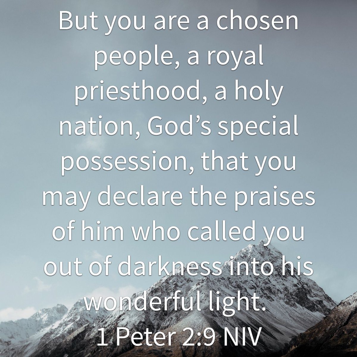 The5iveSolas's tweet photo. But you are a chosen people, a royal priesthood, a holy nation... https://t.co/TtfM5HT6cn