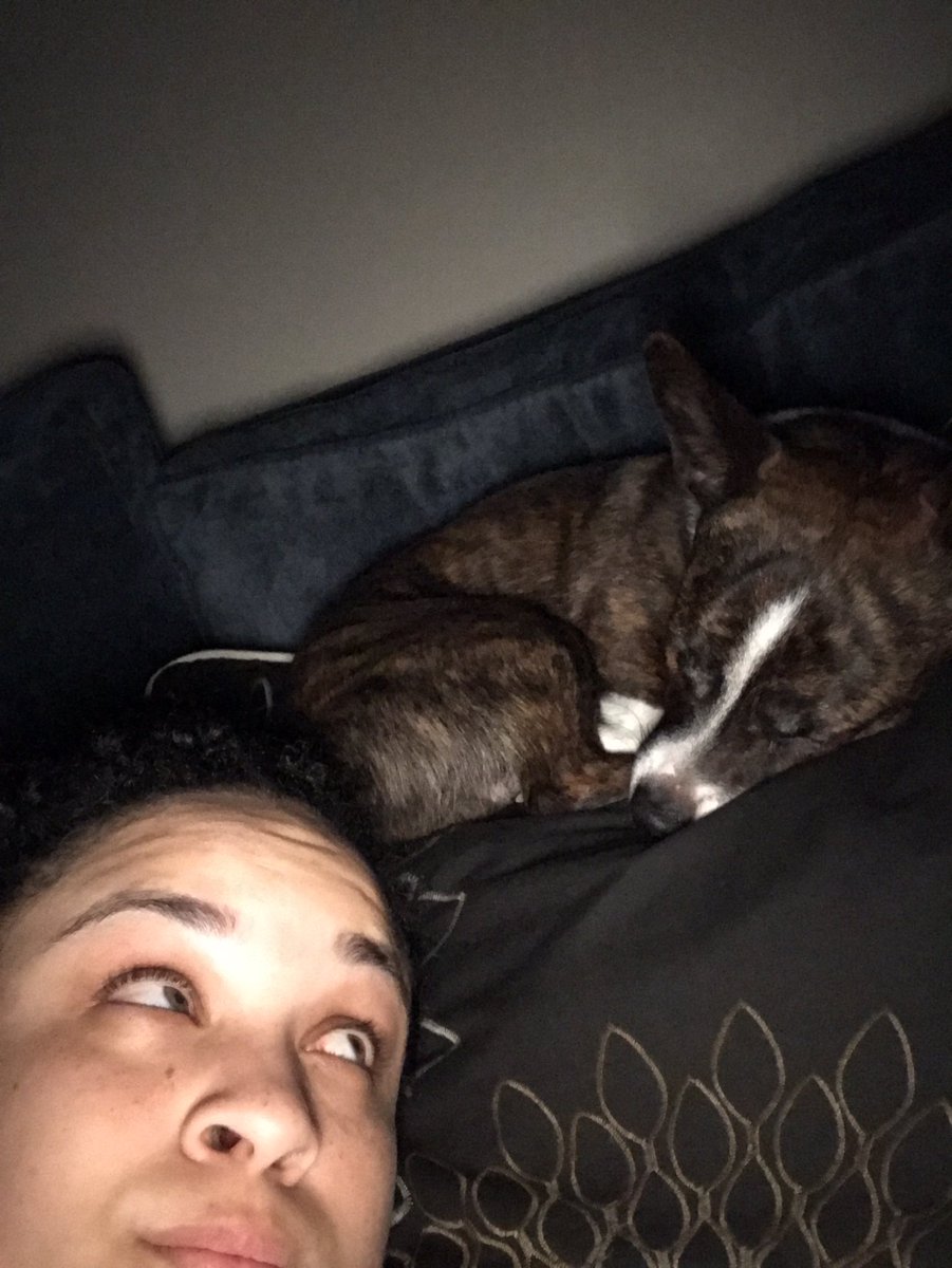 Update: blankets reclaimed. Pillows stolen