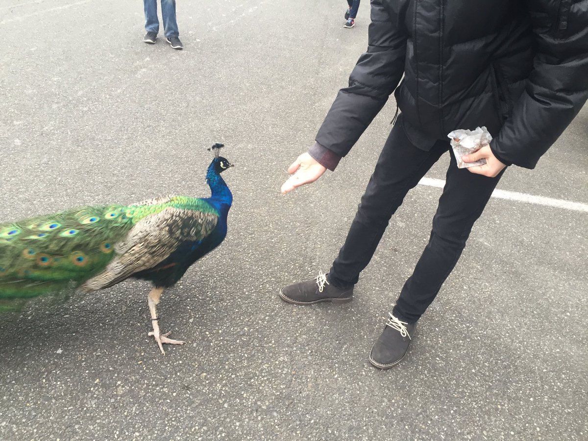 SentixPlayzMC's tweet image. Meet a fellow fan! 😊