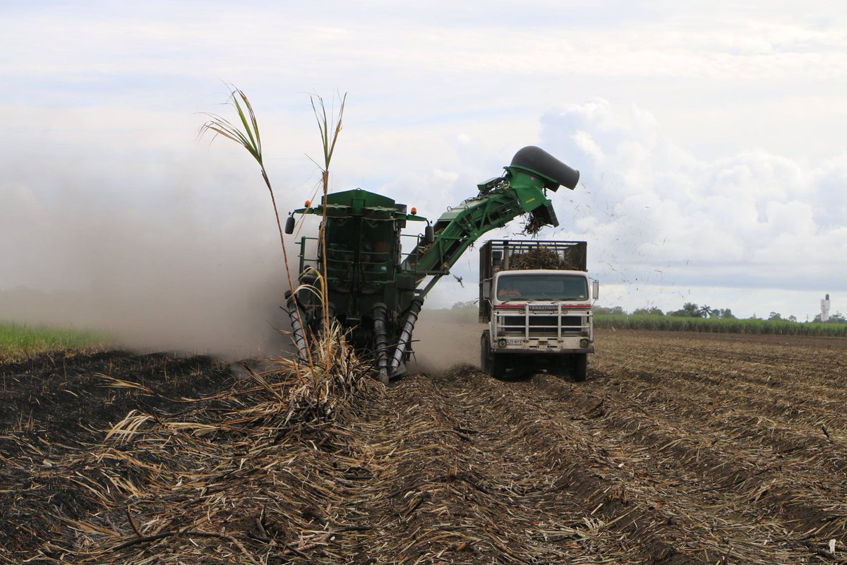 That's it for the 2016 season - 34 million tonnes of sugarcane sent to Qld's 21 mills (phew it was a long one!) bit.ly/2i8A6uq