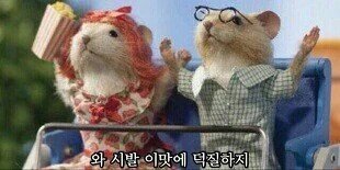 이제 애니 3기가 나온다는 신호인가!!!!!!!!!!!!!