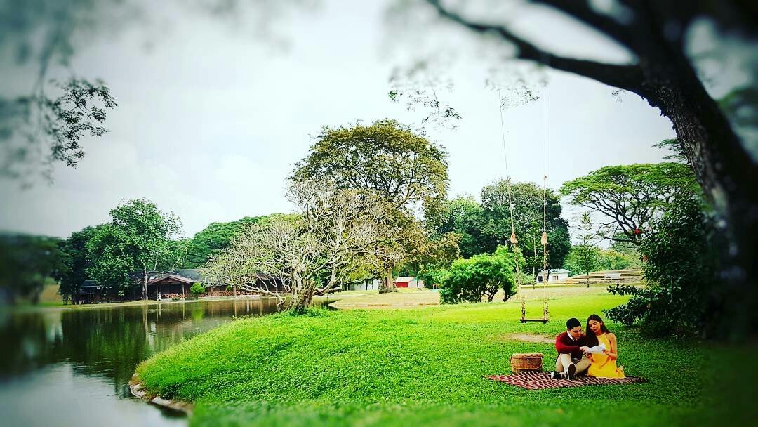 Asian watching club outdoor