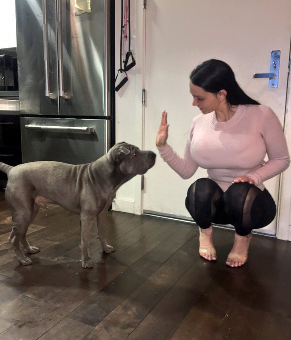 1 pic. High five for a treat https://t.co/mXtwvTcsN6