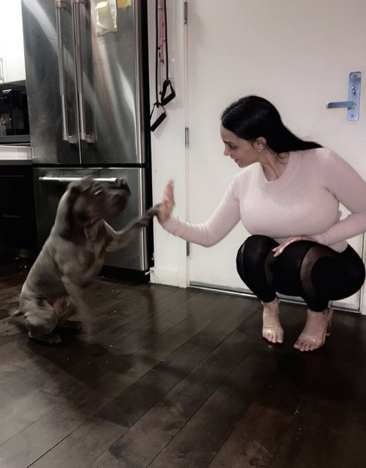 2 pic. High five for a treat https://t.co/mXtwvTcsN6