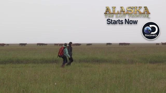 AlaskaTLF's tweet photo. Sometimes it’s blood, sweat, and tears. RETWEET if you’re watching #AlaskaTLF with us now! https://t.co/UgyxX4hEt9