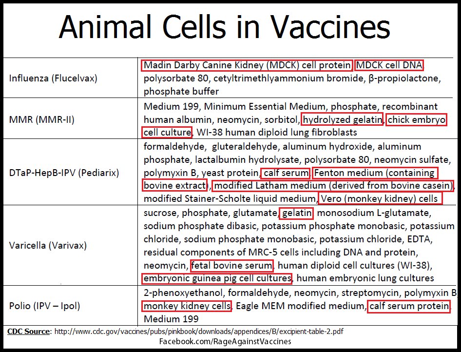 aspiritcan's tweet image. To U&amp;gt;.@KLouise41 @jstrakerj

Ingredients in #vaccines r straight out of the sick mind of the Nazi Dr. Josef Mengele. #TheNurembergCode