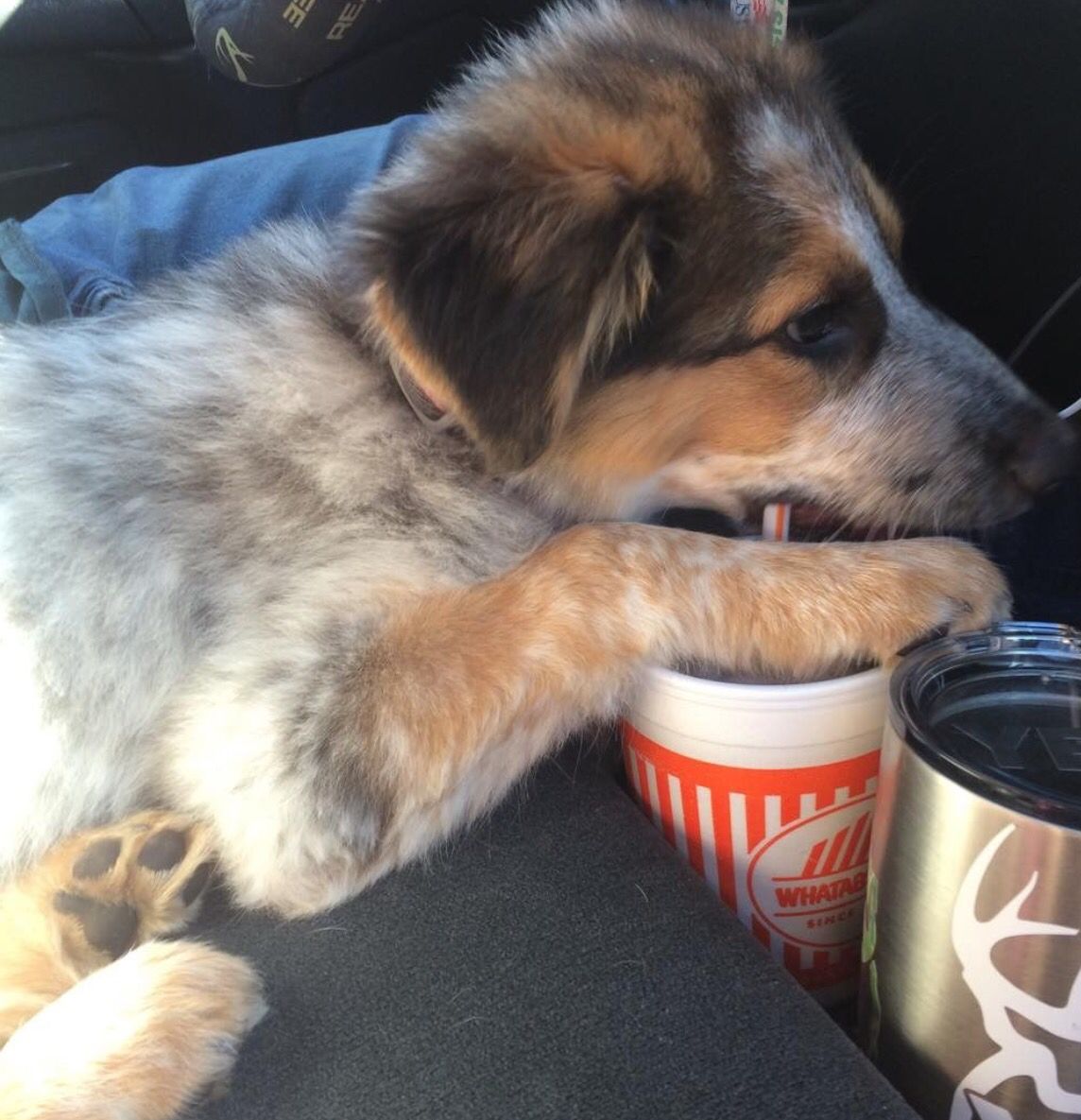 Haley Mathias (@haleykristennn)  X