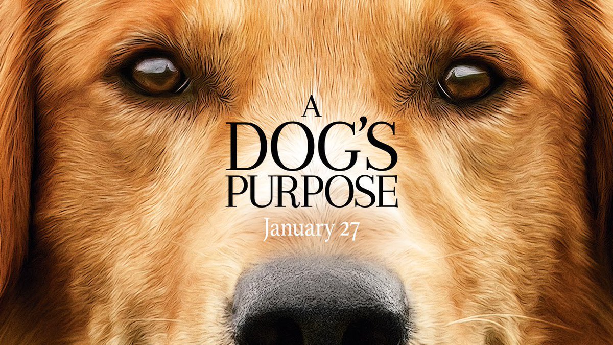 We are so excited this movie has been made. @adogspurposemovie <a href="/a_dogs_purpose/">#ADogsPurpose</a> #ADogsPurpose January 27th! See you next year <a href="/goldenglobes/">Golden Globes</a>