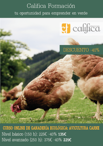 CalificaSL tweet picture