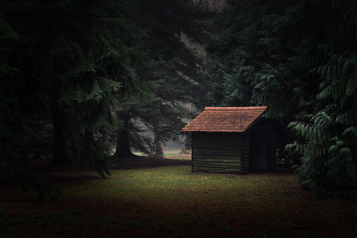 одинокий домик. хижина в лесу белоярский район. домик в лесу ночью. меланхолия хижина. хижина из зловещих мертвецов 2.
