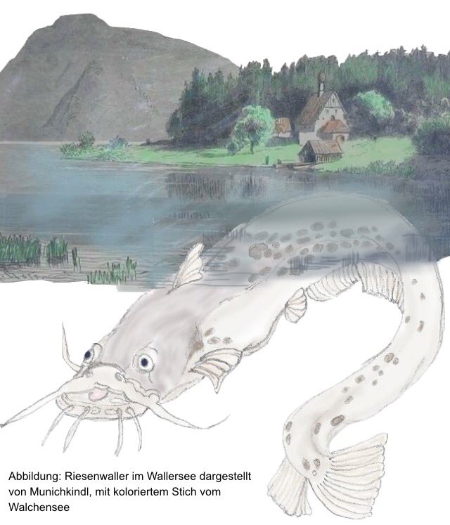 munichkindl's tweet photo. Riesenwaller vom Walchensee bedroht Muenchen und Bayern, mehr zu Stadtlegende: https://t.co/RwtitnAvDD https://t.co/UsFLyXJ0dd