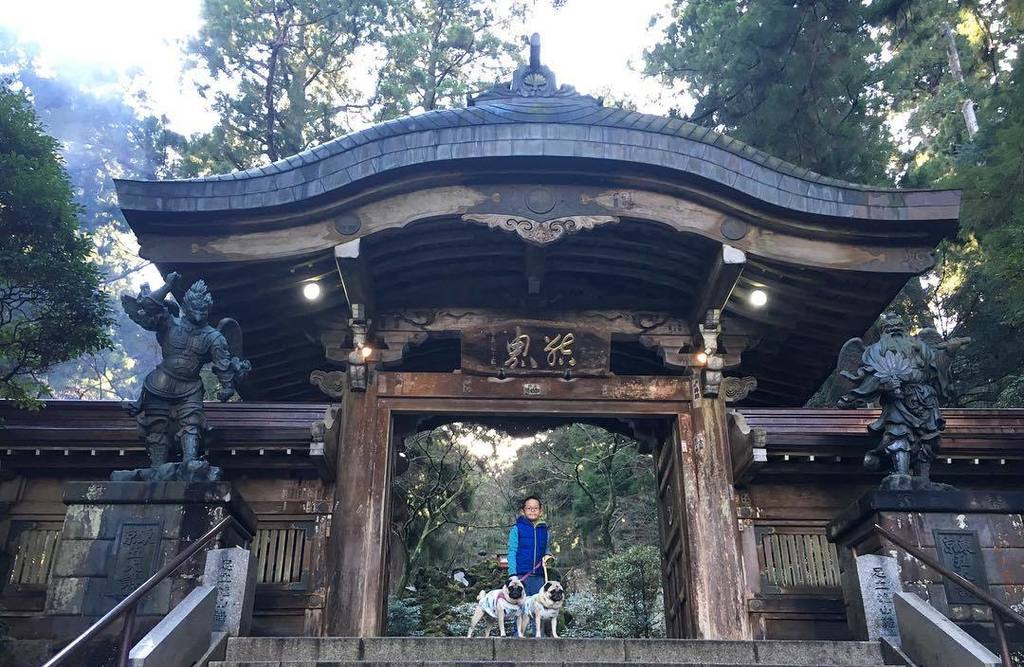 moncome's tweet photo. 今年も天狗の住むお山へ初詣🙏🏻⛩ #ソナチャックハリー #ソナさん #310Harry #310Chuck #pug #puglife #pugs #puglove #pugsta… https://t.co/K0WEqwk4sb https://t.co/ukE3Ge0ixa