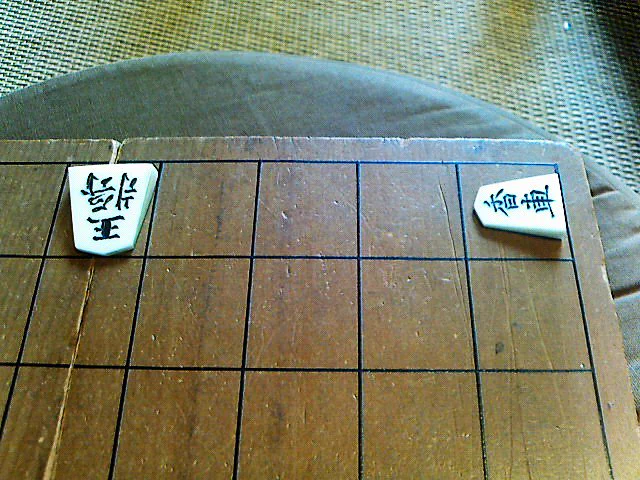 天才かな？将棋の駒の動かし方を覚えた六歳児の王手がこちら！！！