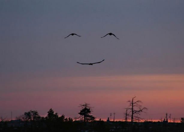 Woordhumor's tweet image. Laten we de nieuwe week positief beginnen! 😀