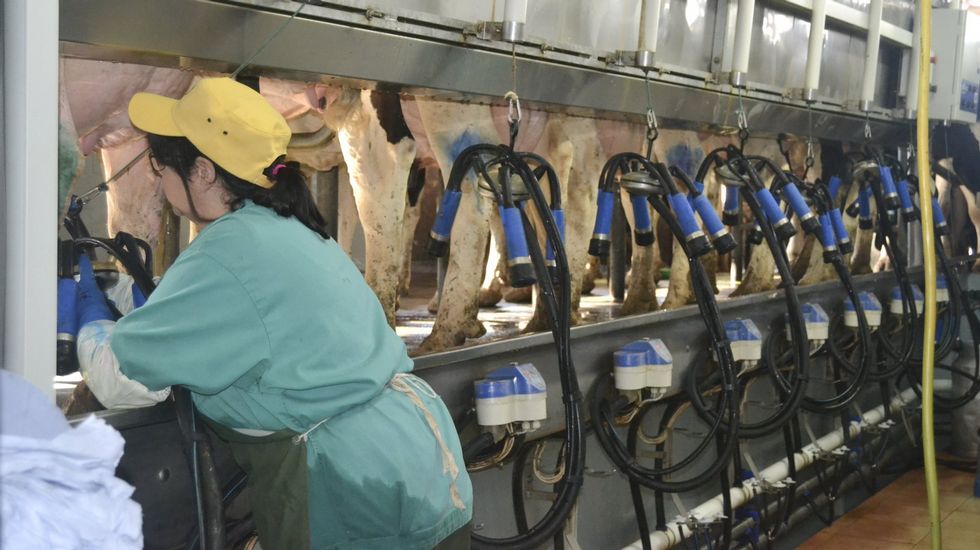 lavozdegalicia's tweet image. El campo gallego dedicó en el último decenio 1.100 millones a modernizarse goo.gl/XDCmFT