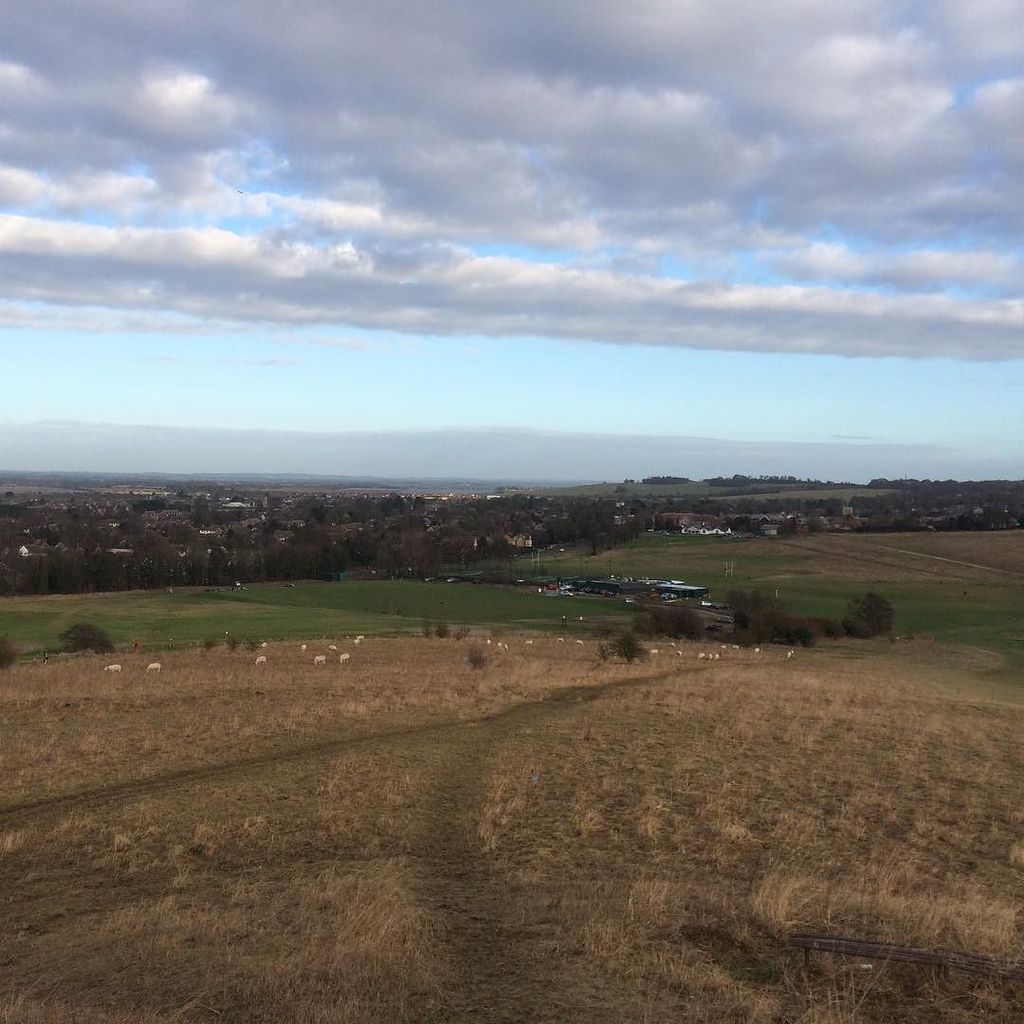 mi55isles's tweet photo. Memories, memories.. #igershertfordshire #igersherts #ig_nature #ig_hertfordshire #instahe… https://t.co/O9xMm5jujr https://t.co/iJKlCLuDgI