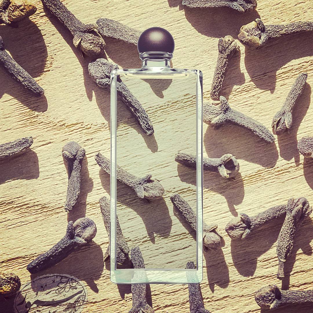SamoorGroup's tweet photo. این #عطر رو بزنی یا از مردم چَک میخوری یا بوست میکنن

#SamoorGroup
#SergeLutens
#SergeNoir https://t.co/0LRdIunBd8