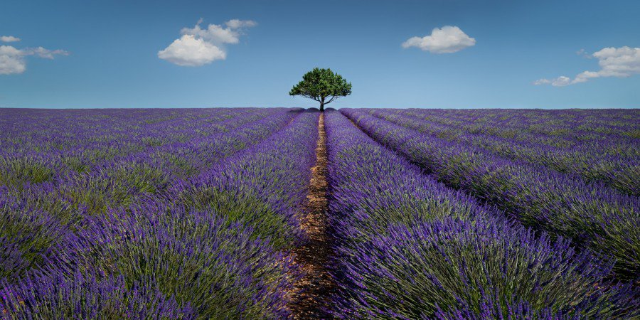 Vegeu els primers premis exaequo del 33è concurs Pere Viltró. Són de Torcuato Balboa i Yolanda Núñez. Via <a href="/AFOCER/">AFOCER</a> #Cerdanyola