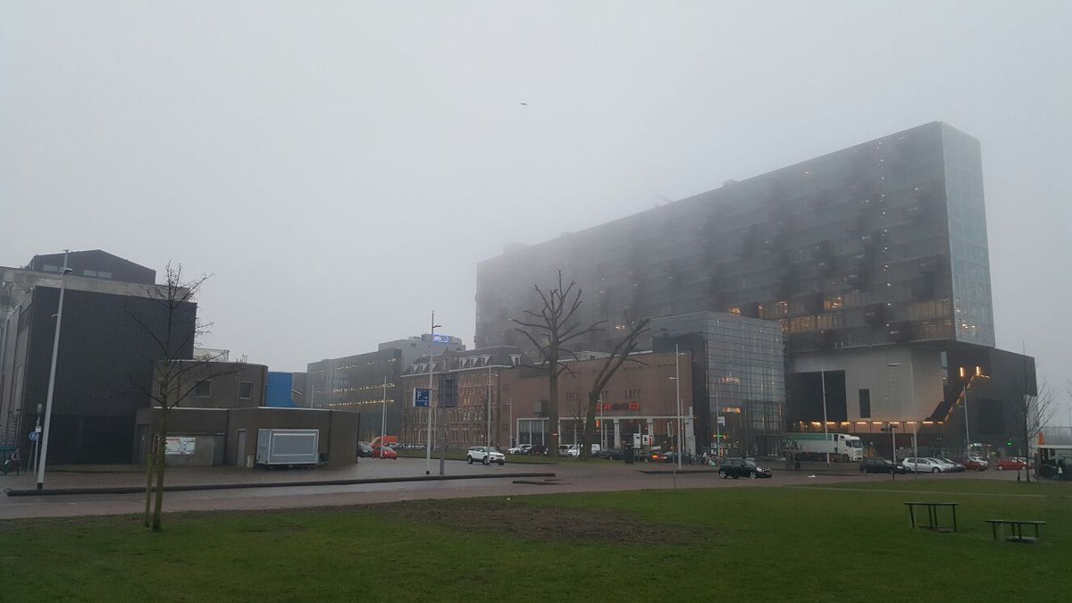 OPEN Rotterdam tweet media