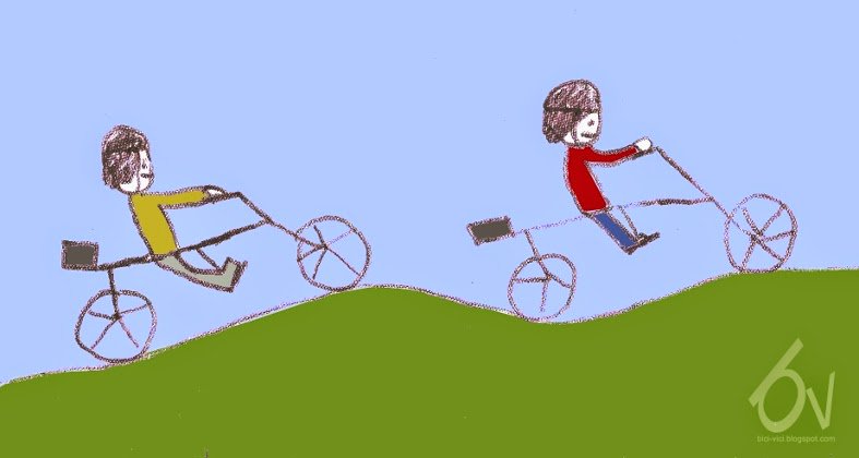 Bici Vici tweet media