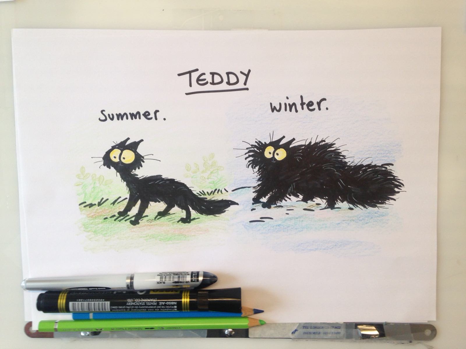 simon's cat teddy