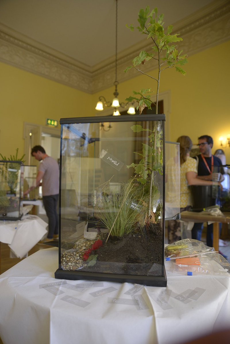 Ecogeographers's tweet photo. #TAGSCAPE capturing @ForestryCommEng and @theroyalparks perceptual data @RGS_IBG https://t.co/1isEpLv9kC. Tx @LeverhulmeTrust @affinityplym. https://t.co/dQtnAfdSTg