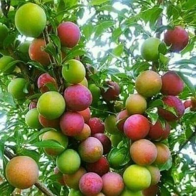 KamaitRitesh tweet picture