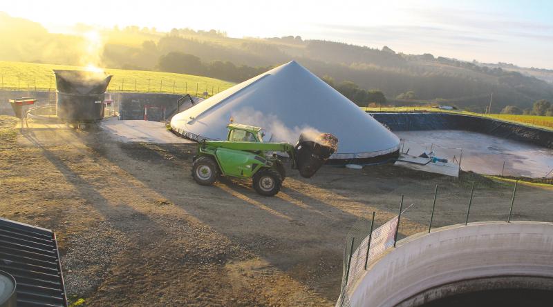 La filière #biogaz pourrait produire le tiers de la consommation européenne de gaz #EnR
terra.reussir.fr/actualites/la-…