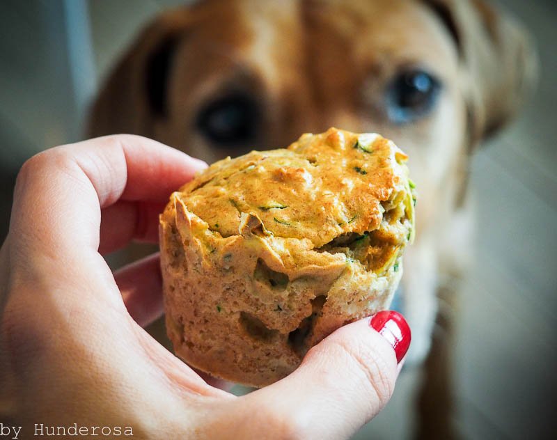 #hundelicious #Hundemuffins Rezept mit gesunden Zutaten hunderosa.de/blog/hunde-muf…