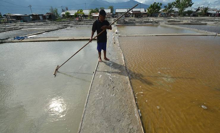 beritaKBR's tweet image. Pengusaha Minta Garam Impor Setengah Juta Ton goo.gl/sRemns