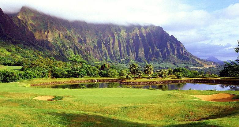 Direct Golf tweet media