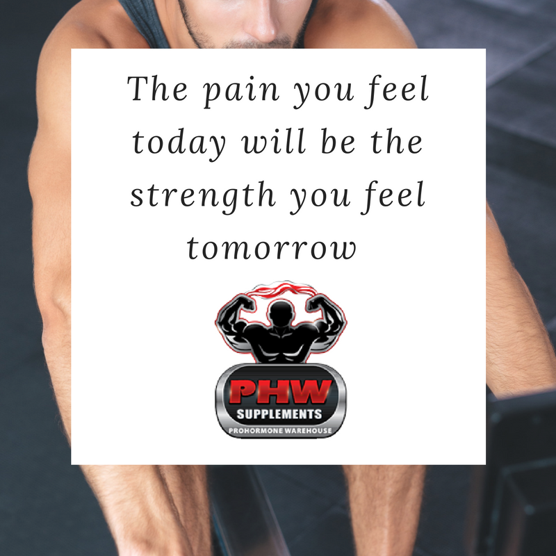 PHWSupplements's tweet photo. Monday Motivation - feel the pain! https://t.co/399pMsP6en