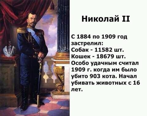 Патрульные задержали четырех пьяных парней, стрелявших по прохожим из пневматической винтовки в Харькове - Цензор.НЕТ 7372