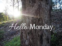 TheCreperieBTN's tweet photo. Morning Brighton! How was your weekend? Happy Monday ... We hope you have a good start to the week #Brighton #Monday https://t.co/wSun2fIfJk