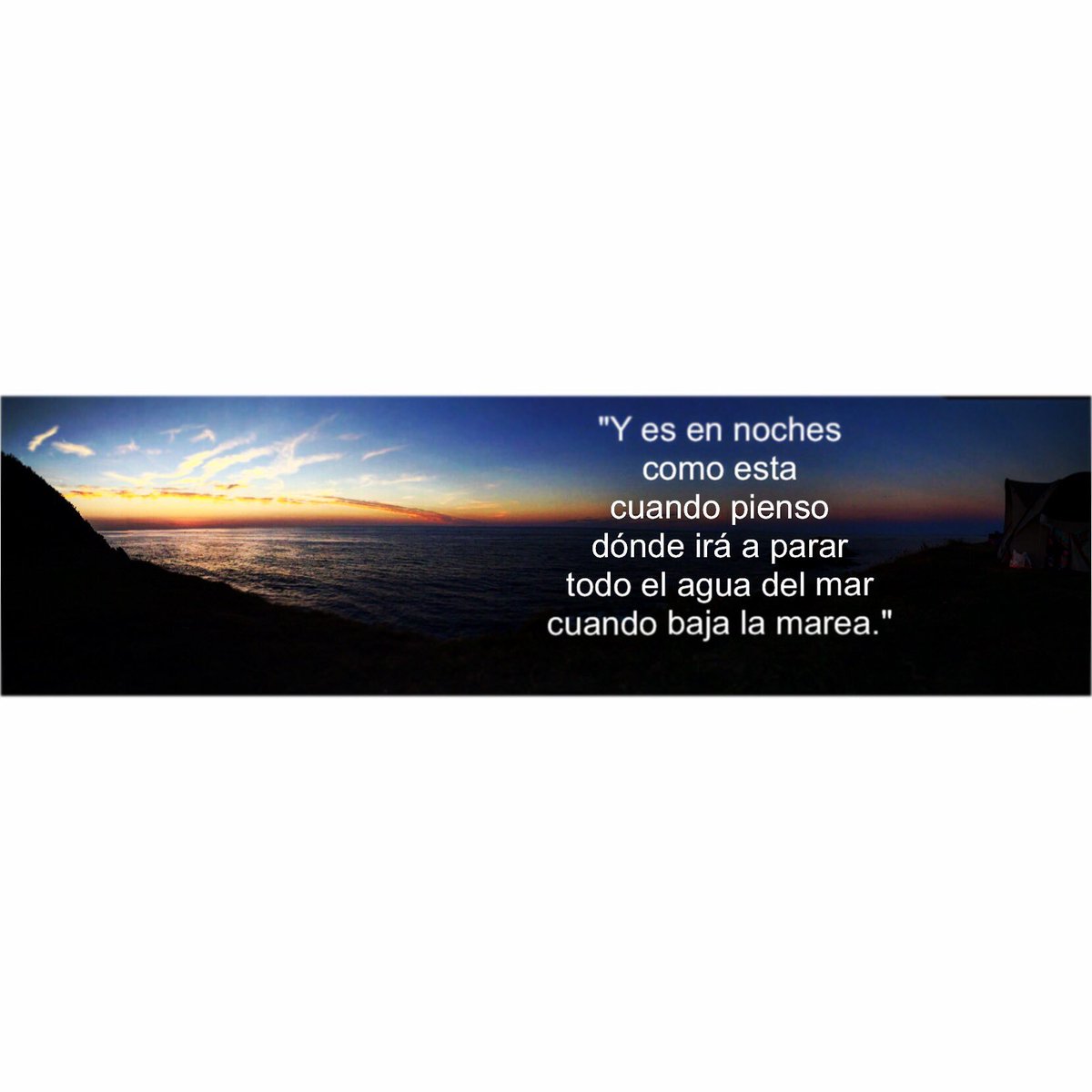 patricia_17d's tweet photo. "Y es en noches 
como esta...
#versosSarayAlonso
@fridaediciones  @SarayAlonso https://t.co/ILnOvjdqq2