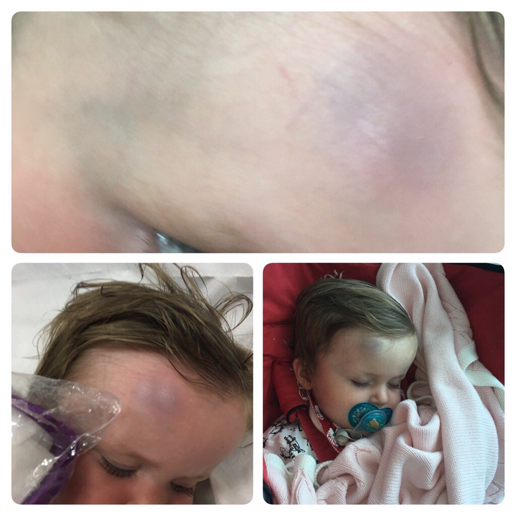 mrskitty_smith's tweet photo. @emirates emirates I cannot put into words how disappointed &amp; upset I am at your treatment of my babies #emirates https://t.co/PkrcT43cYX