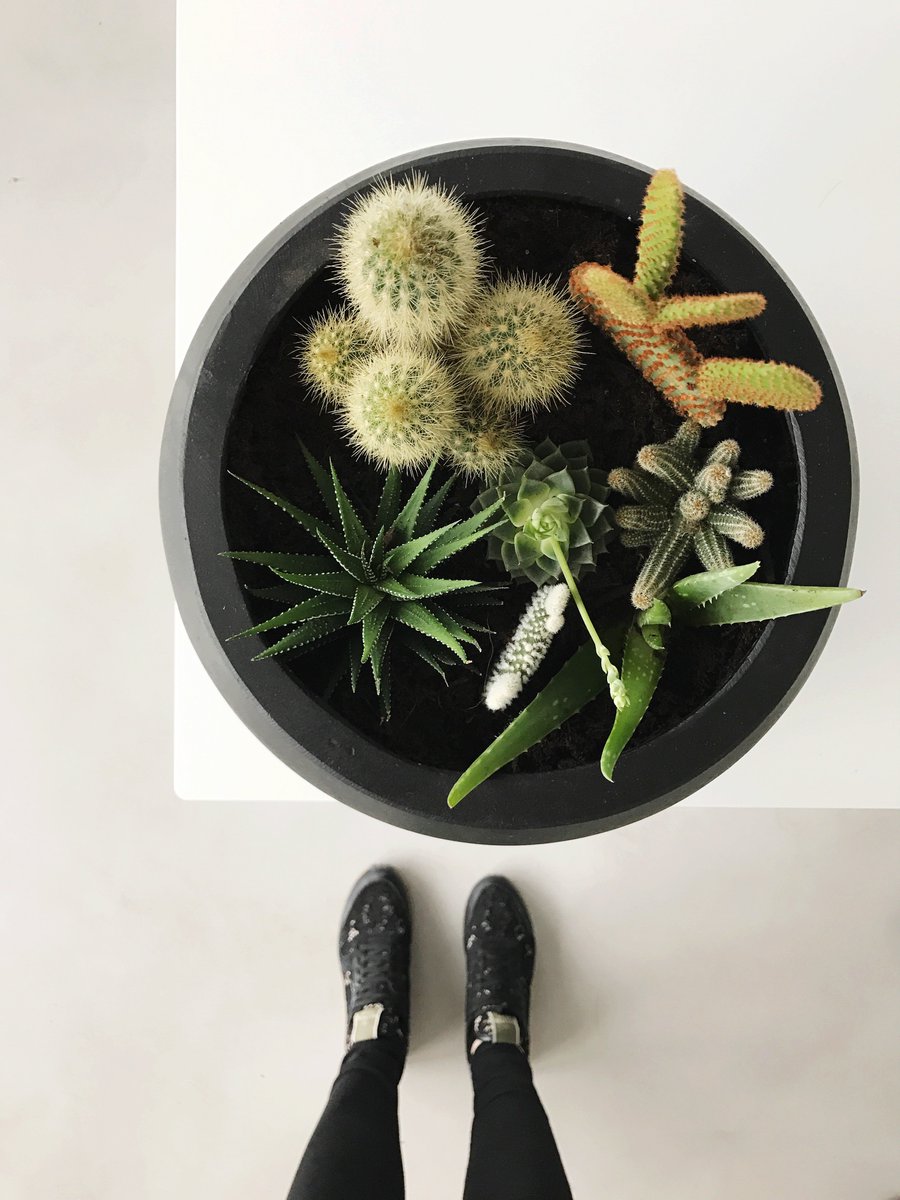 Foxes Events tweet media